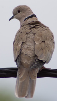 06 septembre 2024-005