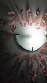  DSC2406-Avec accentuation-Bruit